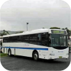 Berrima Buslines