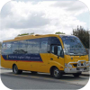 Fassifern Coaches fleet images