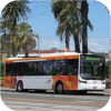 More Victorian bus photos