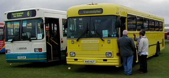 Universitybus Bluebird School Bus