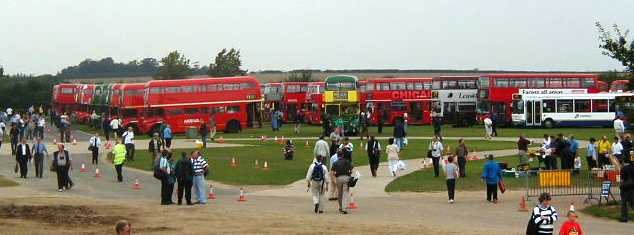 Showbus Routemasters