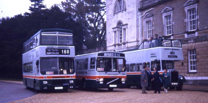 Grey Green at Woburn Abbey