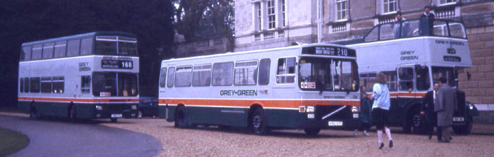 Grey Green at Woburn Abbey