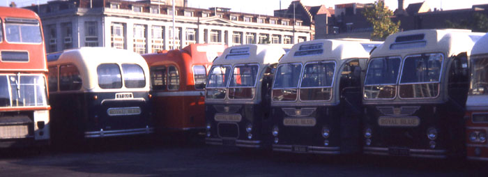 Royal Blue Bristol MW6G ECW with Alder Valley