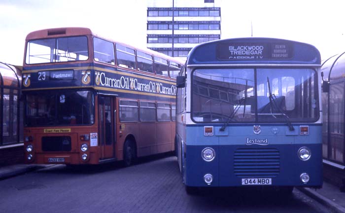 Cardiff Ailsa & Islwyn Tiger