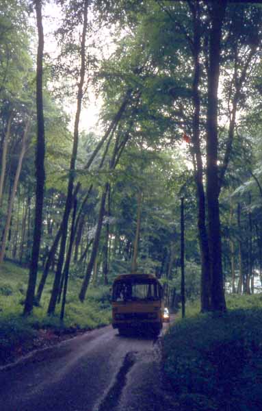 Yellow Bus Leyland Leopard Willowbrook DDM33X