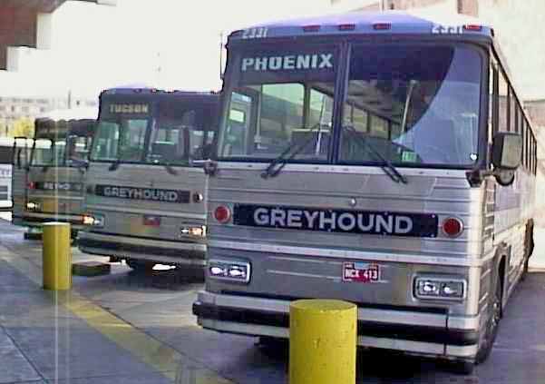 Greyhound Dallas