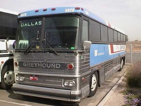 Greyhound Americruiser