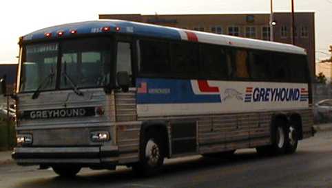 Greyhound Americruiser