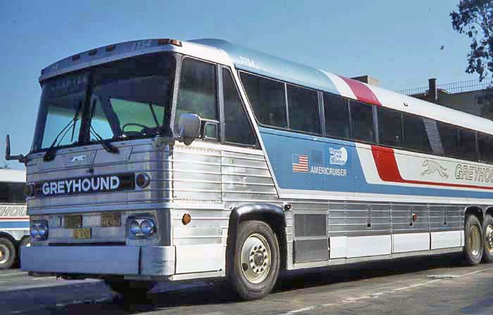 Greyhound Americruiser