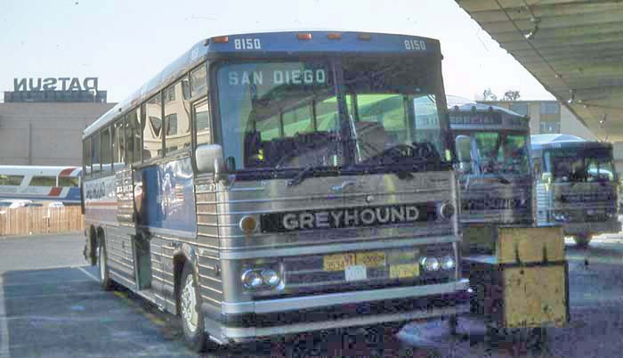 Greyhound Americruiser 2