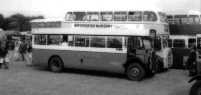 London Transport T31