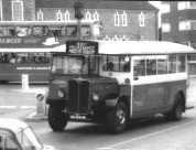 London Transport T31