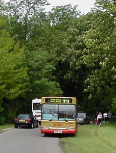 Red Rose Travel Golden Jubilee Bus RR02BUS