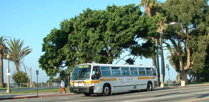 Metro Bus TMC RTS 1979