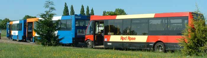 Red Rose Optare Solo