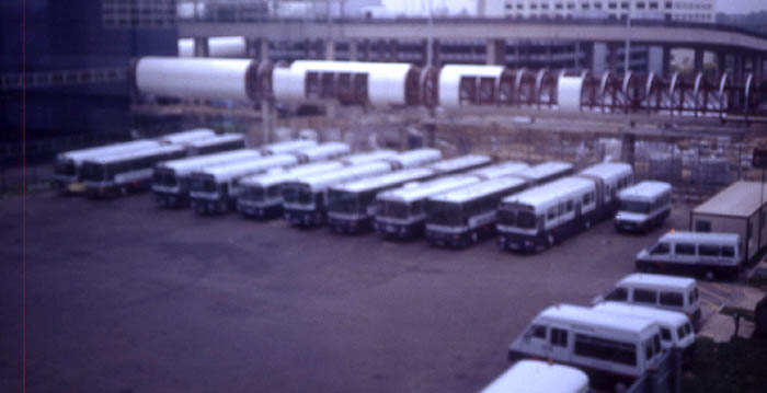 British Airways articulated buses