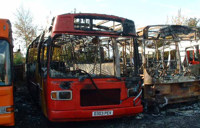 Red Rose Volvo B9M Plaxton Bustler D303PEV