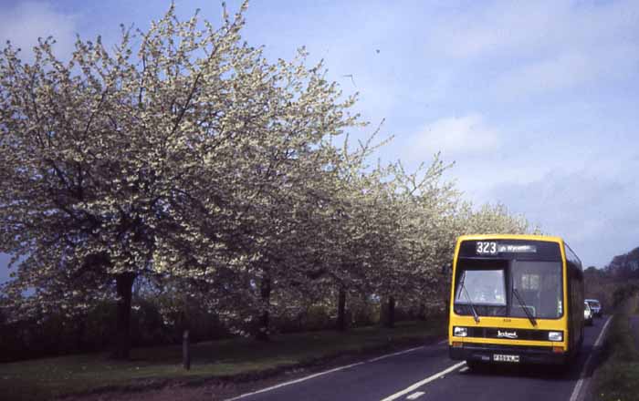 Bee Line Leyland Lynx 559