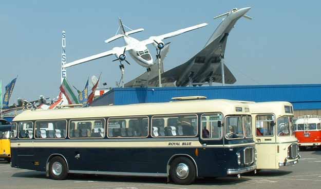 Royal Blue RELH AT Sinsheim