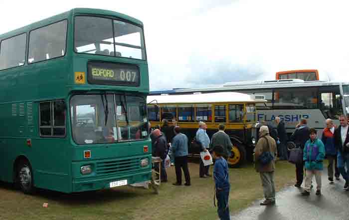 Leyland Lions