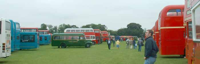 London buses at SHOWBUS