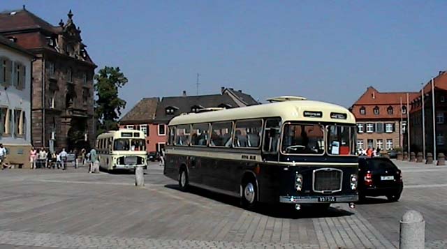 Royal Blue RELH posed by Speyer cathedral