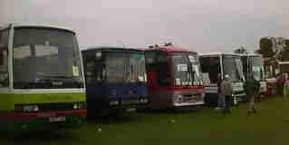 Showbus coaches