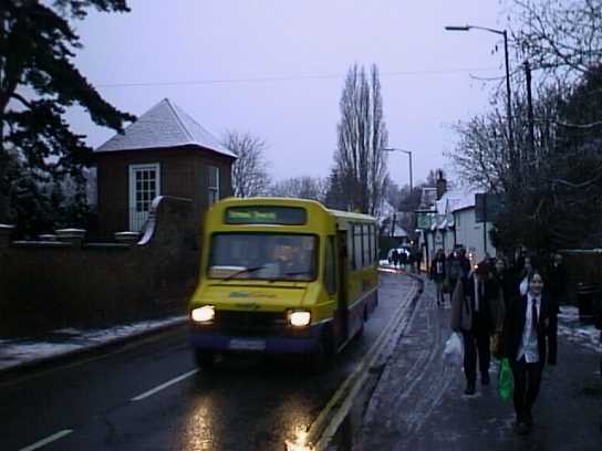 Bee Line at Sir William Borlase's Grammar School