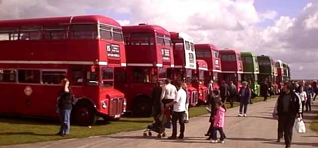 Showbus Routemasters